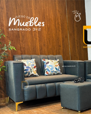 JUEGO DE MUEBLE 3-2 SANGRADO